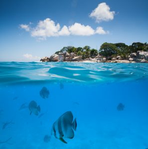 segara_PR_agentur_München_Tourismus_Raffles_Seychelles_Lifestyle_Excursions_Underwater_Snorkle (3)