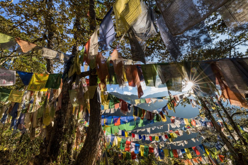 9_Bhutan_Gebetsfahnen_Wald
