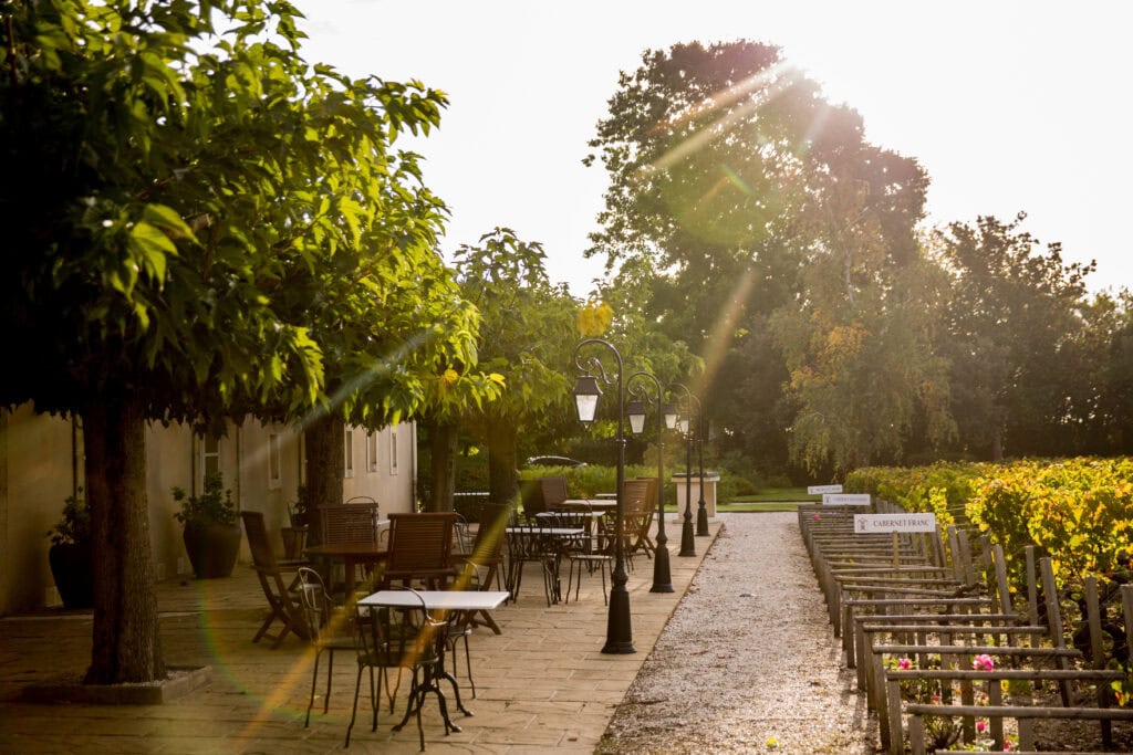 Terrasse mit Bistrotischen unter Bäumen neben Weingarten bei Sonnenlicht, Luxushotel Weingut